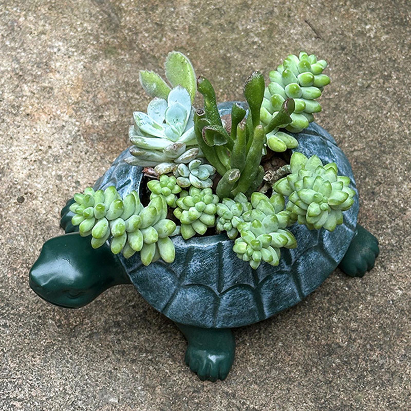 Bonsai Garden Restaurant - Schildpad plantenbak bloempot bonsai pot collectie
