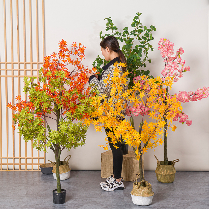 Bonsai Garden Restaurant - Kunstmatige rode esdoorn boom ingemaakte ginkgo