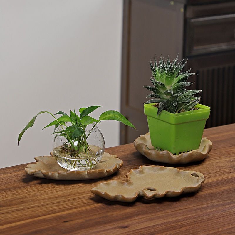 Braziliaanse Houten Hydrocultu - Drip Tray Saucer recensie en prijs