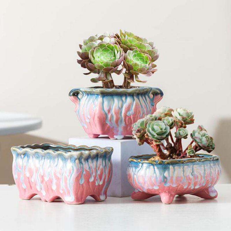 Creatieve Geglazuurde Bloempot - Bonsai Tree Zen Garden recensie en prijs