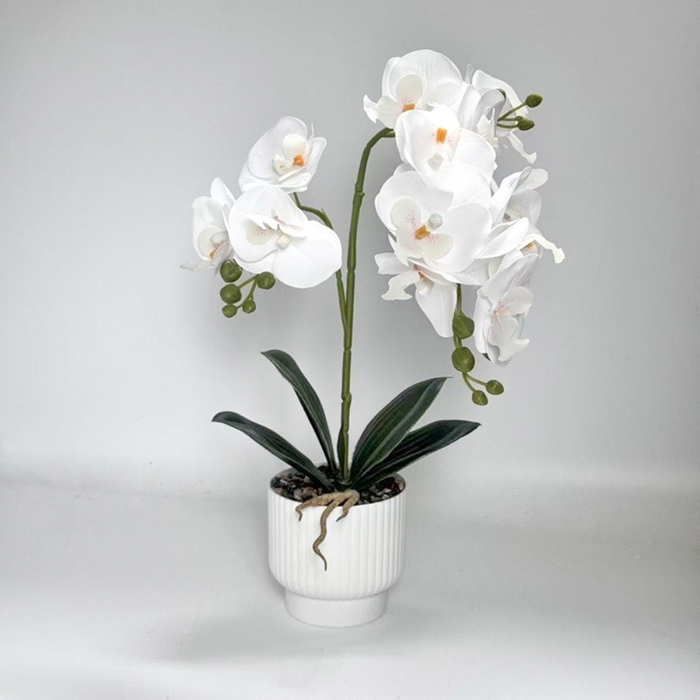 Multi-Bloom Gesimuleerde Vlind - Bonsai Garden Zen recensie en prijs