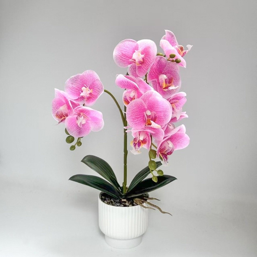 Multi-Bloom Gesimuleerde Vlind - Bonsai Garden Zen recensie en prijs