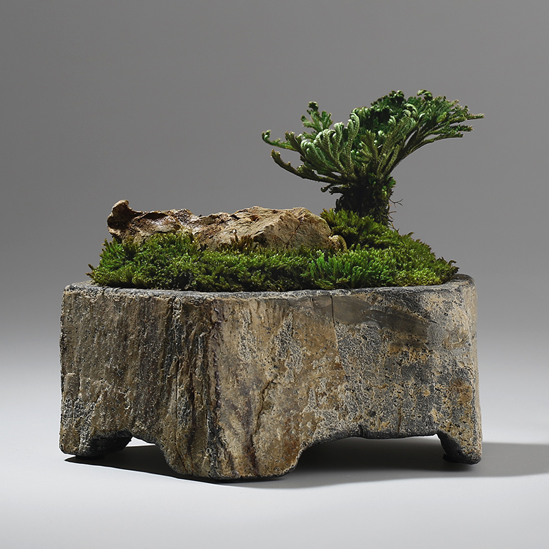 Basalt natuursteen bloempot ha - Bonsai Garden Indoor recensie en prijs