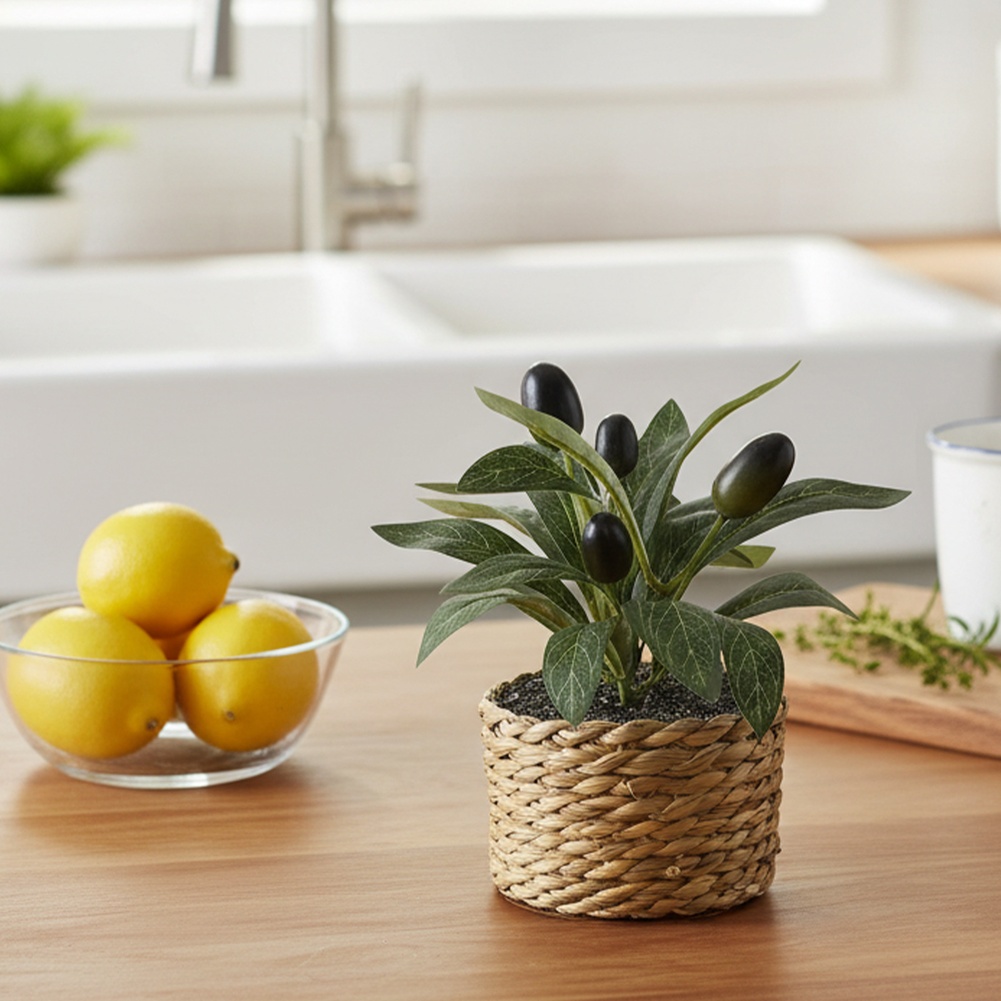 Kunstmatige olijfboom in pot v - Bonsai Garden Accessories recensie en prijs
