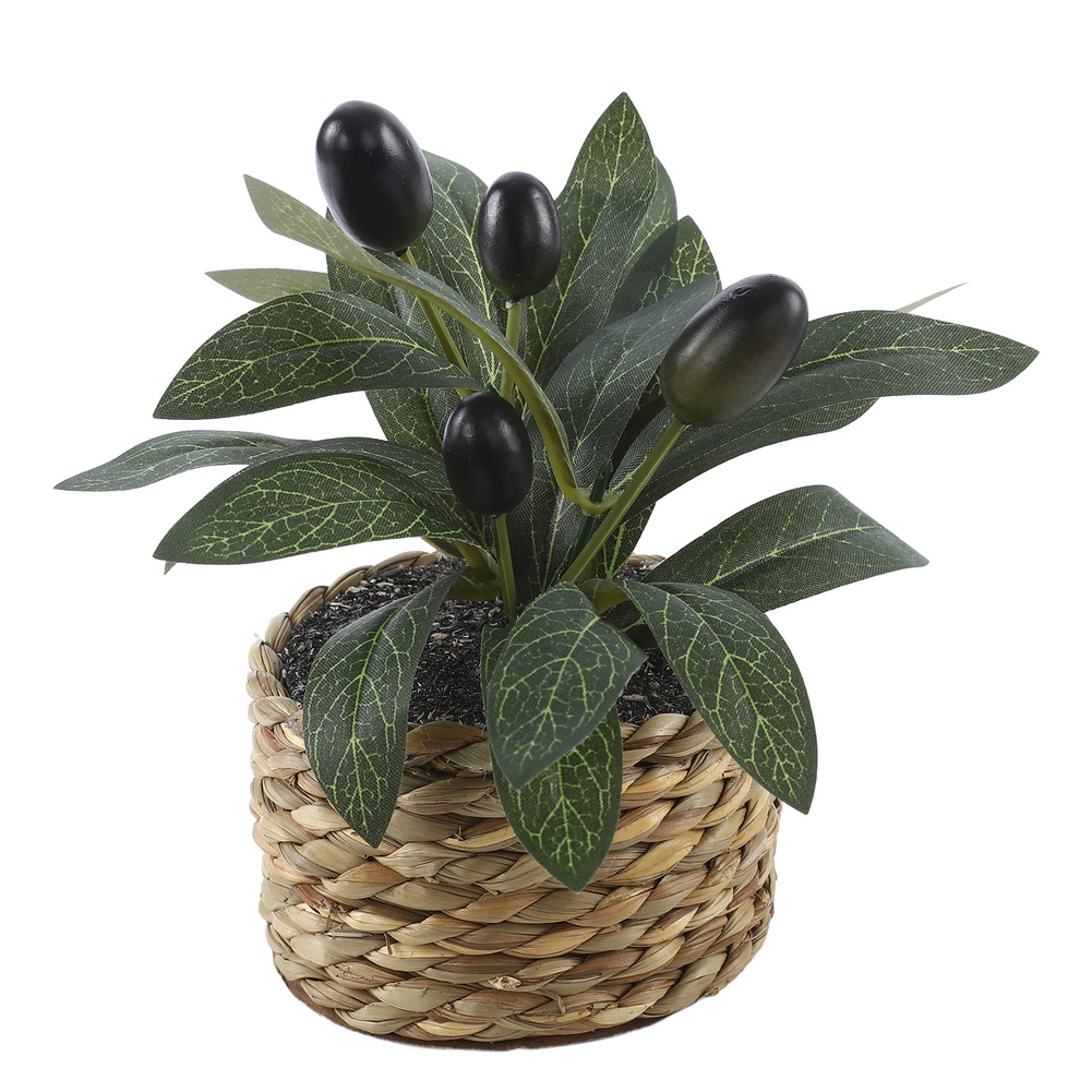 Kunstmatige olijfboom in pot v - Bonsai Garden Accessories recensie en prijs