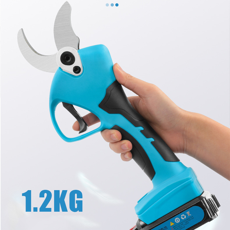 21V Draadloze Lithium-ion Prog - Bonsai Garden Dc recensie en prijs