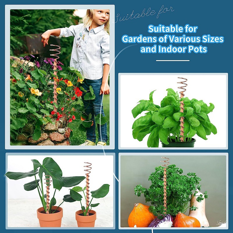 Bonsai koperen elektrocultuur  - Bonsai Garden Accessories recensie en prijs