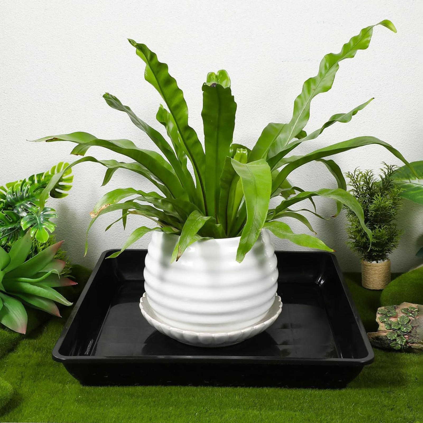 2 Stuks Bloempot Basis Verdikt - Drip Tray Saucer recensie en prijs