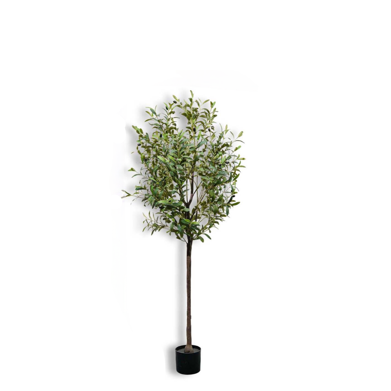 150cm/59In Kunstmatige Olijfbo - Bonsai Garden Sushi recensie en prijs