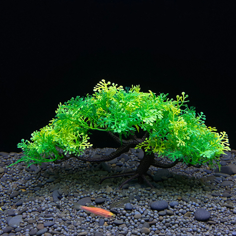 Aquarium Bonsai Boom, Plant, A - Bonsai Garden Sushi recensie en prijs