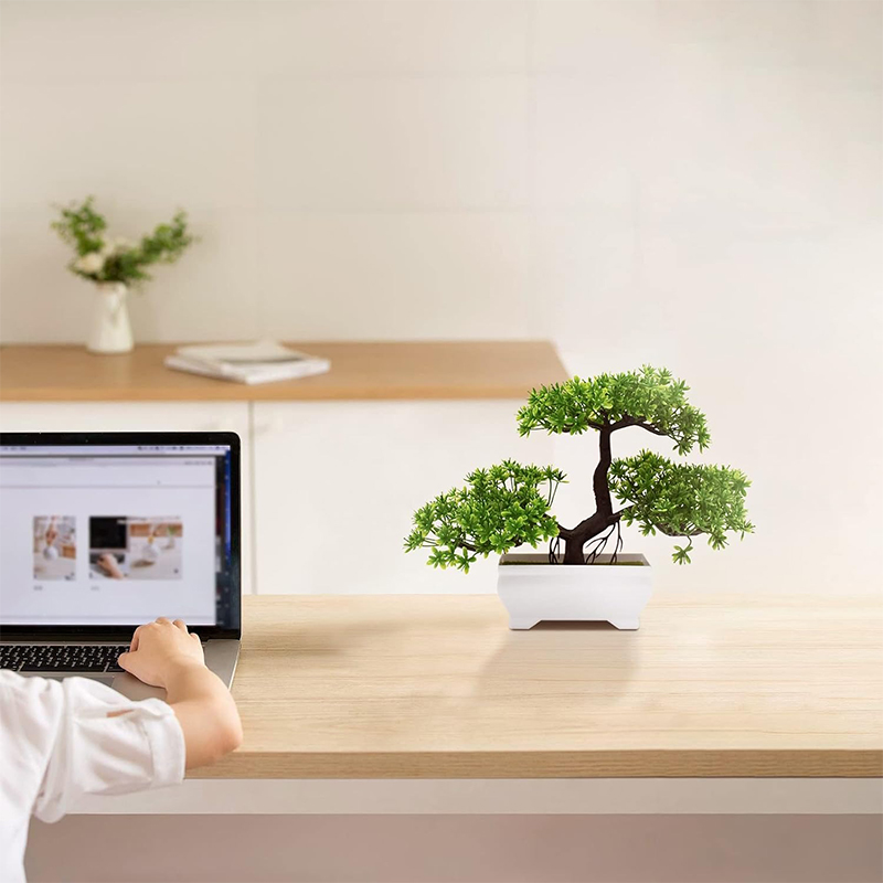 Kunstmatige Bonsai Plastic Bio - Bonsai Garden Indoor recensie en prijs