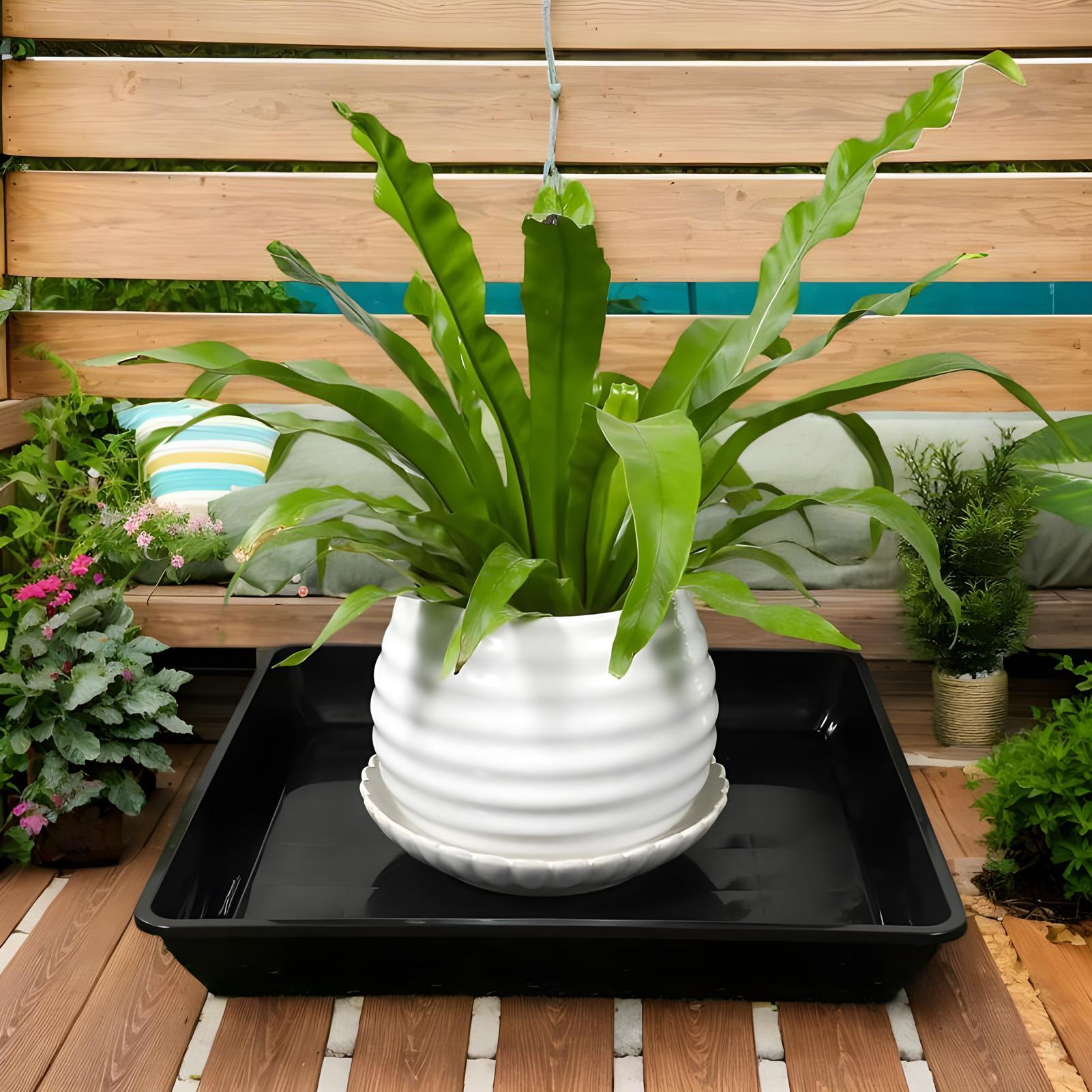 Plantenbakken voor potten 2 st - Drip Tray Saucer recensie en prijs