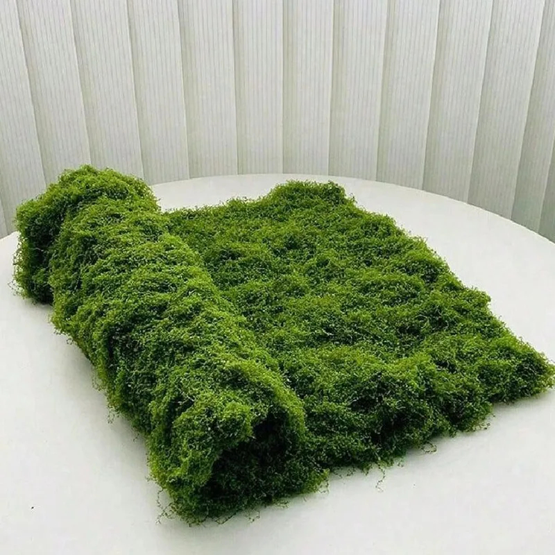Kunstmos voor micro-landschaps - Bonsai Garden Zen recensie en prijs