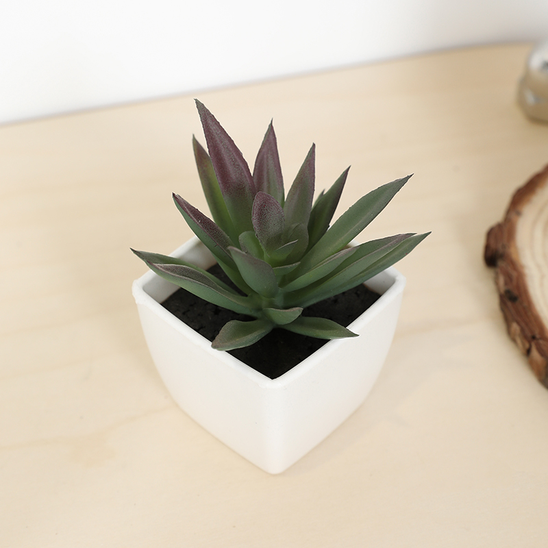 Mini Kunstmatige Succulente Fe - Bonsai Garden Accessories recensie en prijs