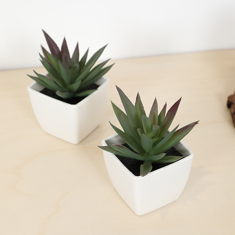 Mini Kunstmatige Succulente Fe - Bonsai Garden Accessories recensie en prijs