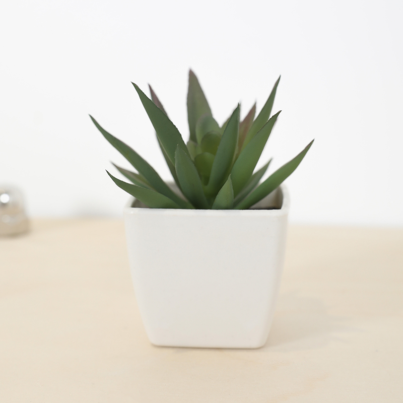 Mini Kunstmatige Succulente Fe - Bonsai Garden Accessories recensie en prijs