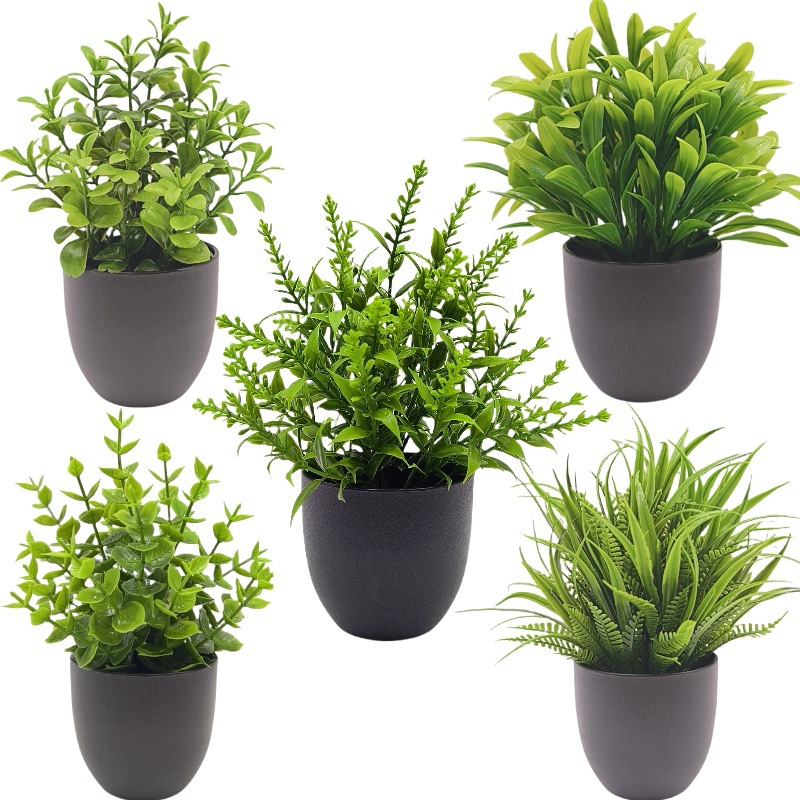 Simulatie Groene Plant Bonsai  - Bonsai Garden Accessories recensie en prijs