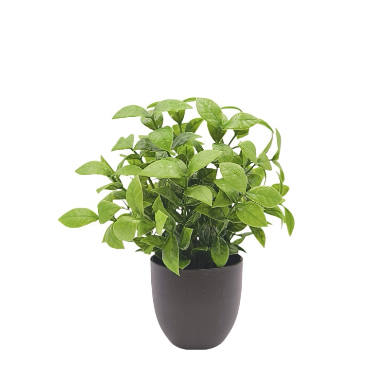 Simulatie Groene Plant Bonsai  - Bonsai Garden Accessories recensie en prijs