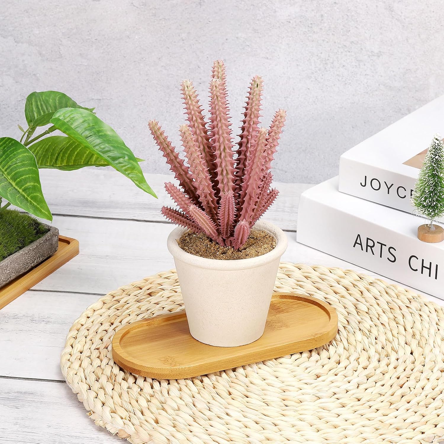 4 stuks bamboe plantenonderzet - Drip Tray Saucer recensie en prijs