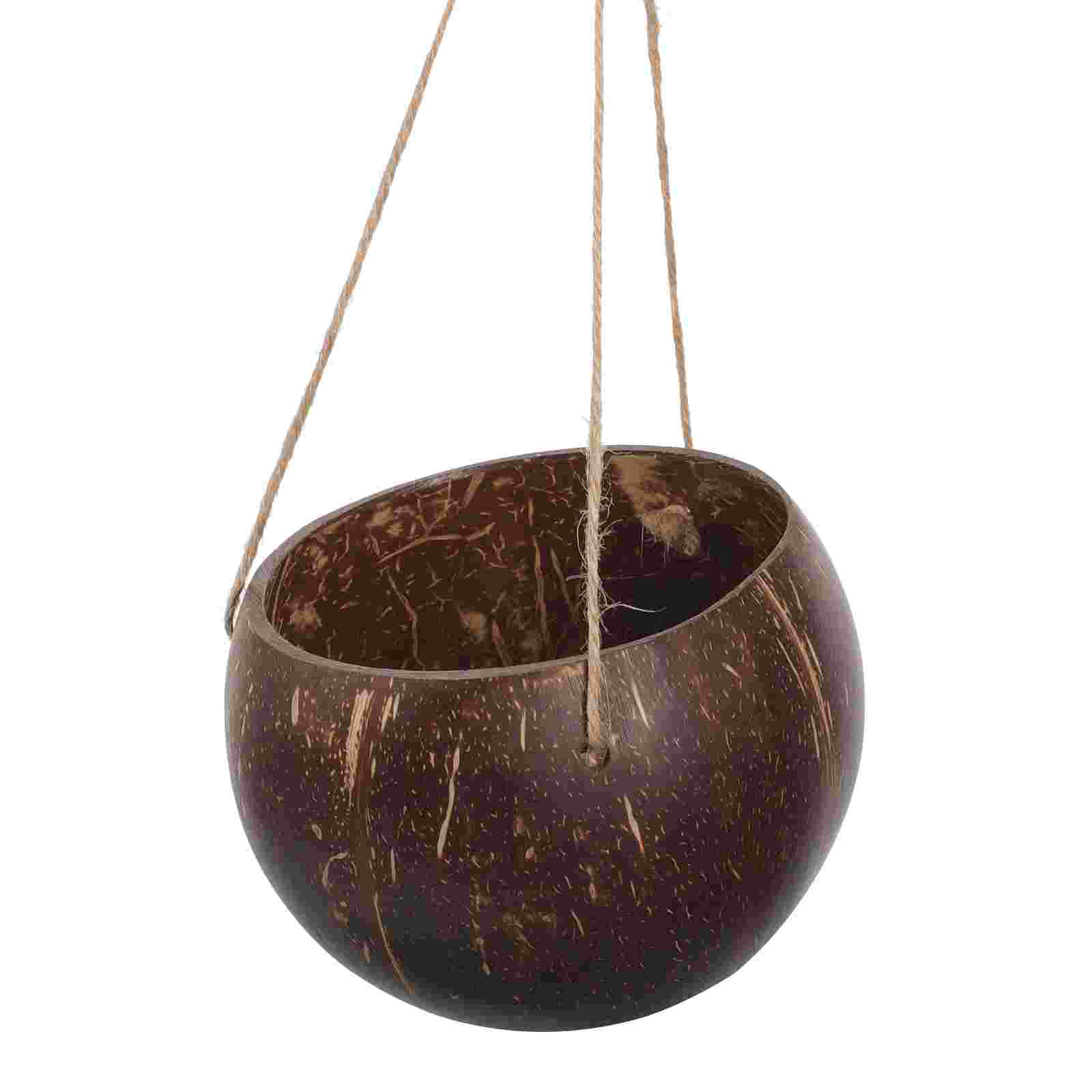Natuurlijke kokosschaal bloemp - Bonsai Tree Zen Garden recensie en prijs