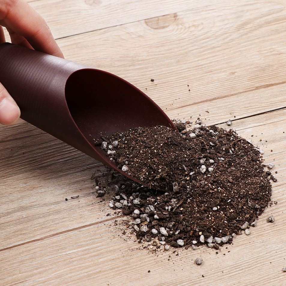 1 stuk plastic grondschepbeker - Bonsai Garden Accessories recensie en prijs