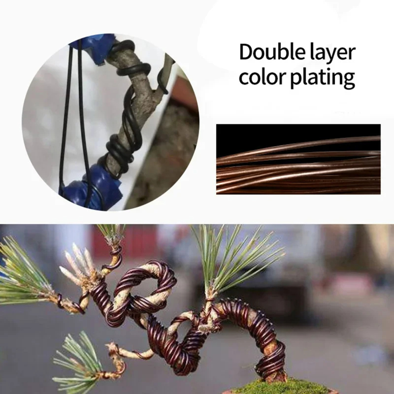 5 m Bonsai Draad plant onderst - Bonsai Garden Accessories recensie en prijs